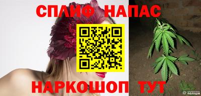 МДПВ Шебекино