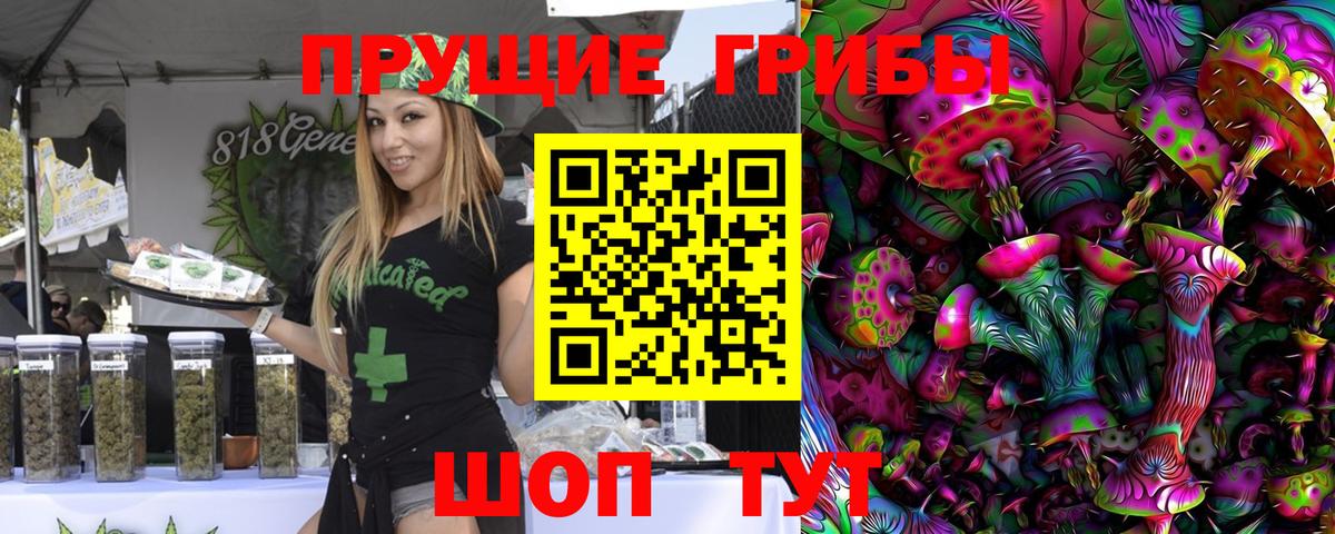 Псилоцибиновые грибы GOLDEN TEACHER Минусинск