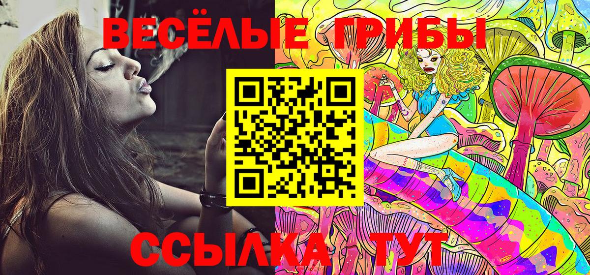 Галлюциногенные грибы GOLDEN TEACHER  Вход с VPN  купить наркоту  Псилоцибиновые грибы Psilocybine cubensis  Минусинск 